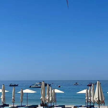 Alvi * Vlore