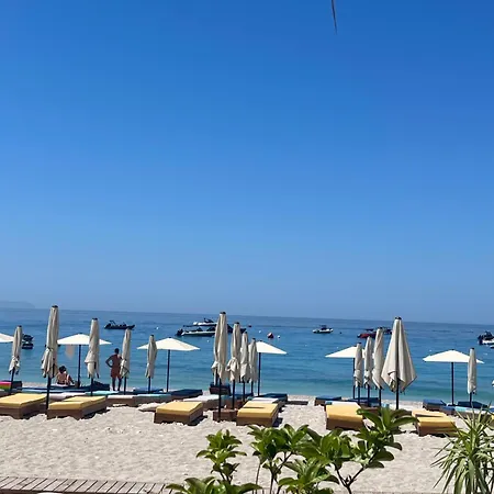 Alvi * Vlore
